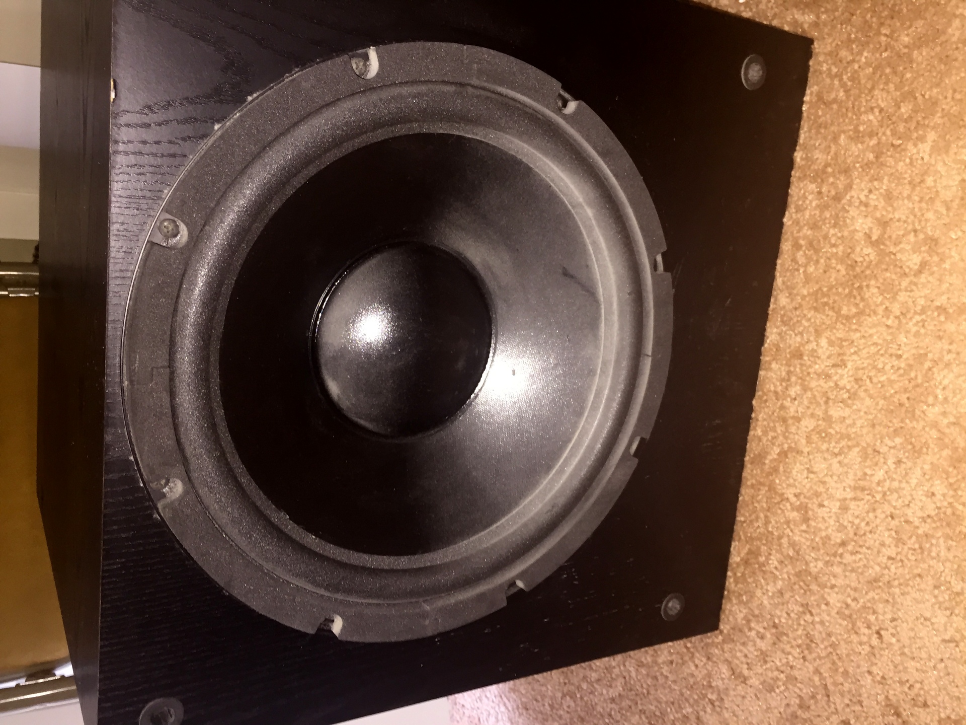 rca pro sw220p subwoofer