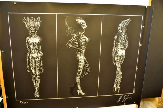 rkolinski's Home Theater Gallery - Giger/Alien/Species (184 photos)
