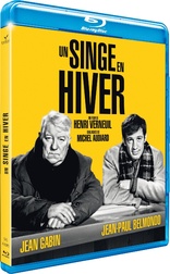 Un Singe en Hiver (Blu-ray Movie)