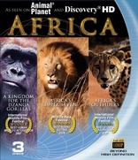 Amazon.com: A Kingdom for the Dzanga Gorillas : Narrated