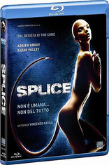 Splice (Blu-ray Movie), temporary cover art