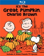 Its a great pumpkin Charlie Brown High Quality Metal Magnet 4 x 4 inches 9891 