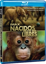 IMAX: Born to Be Wild (Blu-ray Movie)