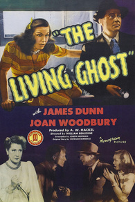 LIVING　WITH　A　GHOST Blu-ray The Living Ghost Blu-ray