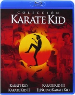 The Karate Kid: Part III Blu-ray (Karate Kid III) (Spain)