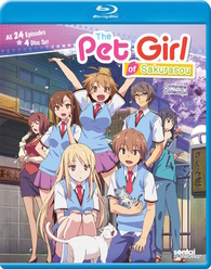 その他 Pet Girl of Sakurasou 2/ [DVD] [Import] 9jupf8b Amazon.com: The Pet Girl of Sakurasou 2 : Movies & TV