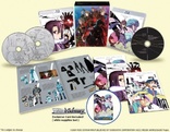 Sword Art Online II Volume 2 (Blu-ray Movie), temporary cover art