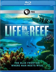 Life on the Reef Blu-ray