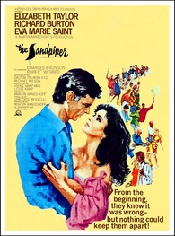 その他 The Sandpiper [DVD] Amazon.co.jp: The Sandpiper [DVD] : Elizabeth Taylor
