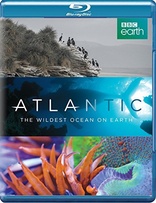 大西洋：地球最狂野的海洋 Atlantic: The Wildest Ocean on Earth