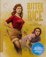 Bitter Rice (Blu-ray Movie)