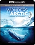 Wonders of the Arctic 4K + 3D (Blu-ray)