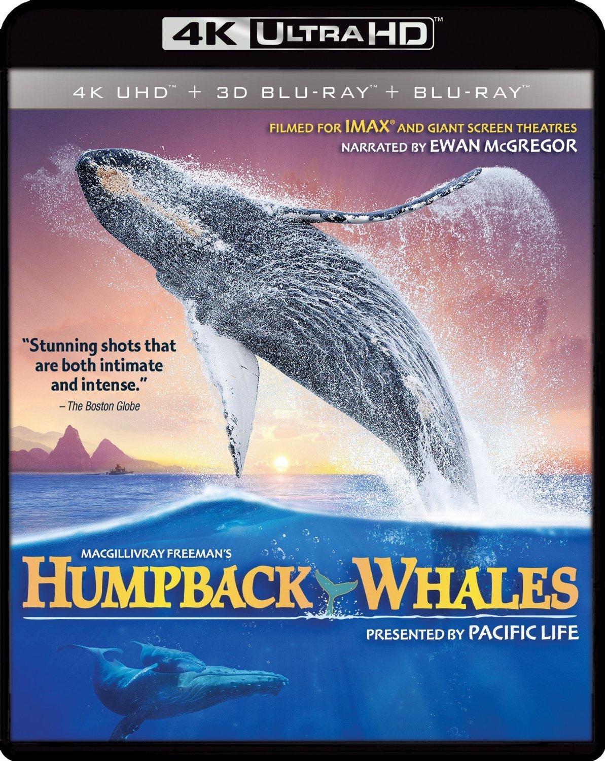 Humpback Whales 2015 4k Ultra Hd Blu Ray