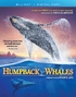 Humpback Whales (Blu-ray Movie)