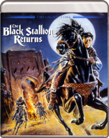 黑神驹2/黑神駒的歸來(台) The Black Stallion Returns