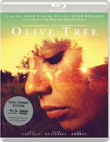 橄榄树 The Olive Tree