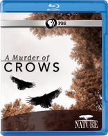 Nature: A Murder of Crows (Blu-ray Movie)