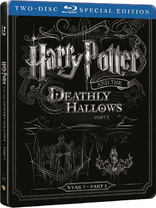 Harry Potter and the Deathly Hallows: Part 2 (Blu-ray Movie)