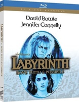 Labyrinth (Blu-ray Movie), temporary cover art