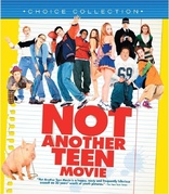 Not Another Teen Movie (Blu-ray Movie)