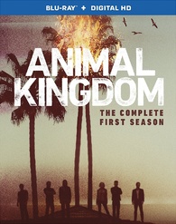 Animal Kingdom: The Complete First Season Blu-ray