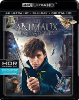 Fantastic Beasts and Where to Find Them 4K (Blu-ray Movie)