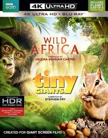 小巨人 + BBC野生非洲 Wild Africa & Tiny Giants