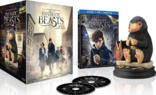 Fantastic Beasts and Where to Find Them (Blu-ray Movie)