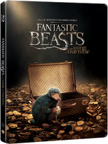 Fantastic Beasts and Where to Find Them (Blu-ray Movie), temporary cover art