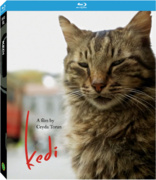 伊斯坦布尔的猫/爱猫之城(台) Kedi