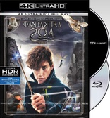 Fantastic Beasts and Where to Find Them 4K (Blu-ray Movie)