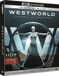 Westworld: The Complete First Season (DVD)