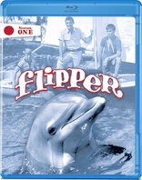 海豚弗利珀 Flipper 第一季