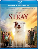 The Stray (Blu-ray Movie)