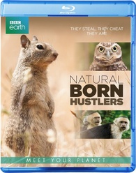 Natural Born Hustlers Blu-ray (Netherlands)