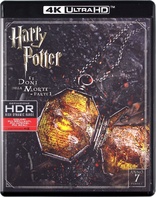 Harry Potter and the Deathly Hallows: Part 1 4K (Blu-ray Movie)