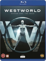 Westworld: The Complete First Season (Blu-ray Movie)