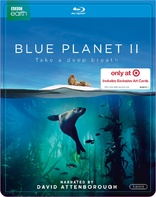 Blue Planet II 4K Blu-ray (4K Ultra HD + Blu-ray)