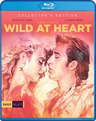 Colección Wild at Heart