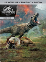 Jurassic World: Fallen Kingdom 4K (Blu-ray Movie), temporary cover art