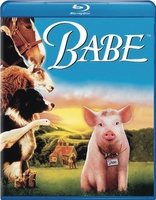 Babe (Blu-ray Movie)