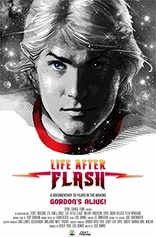 飞侠后的生活 Life After Flash