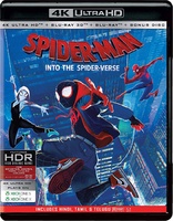 Spider-Man: Into the Spider-Verse Blu-ray (Blu-ray + DVD) (India)