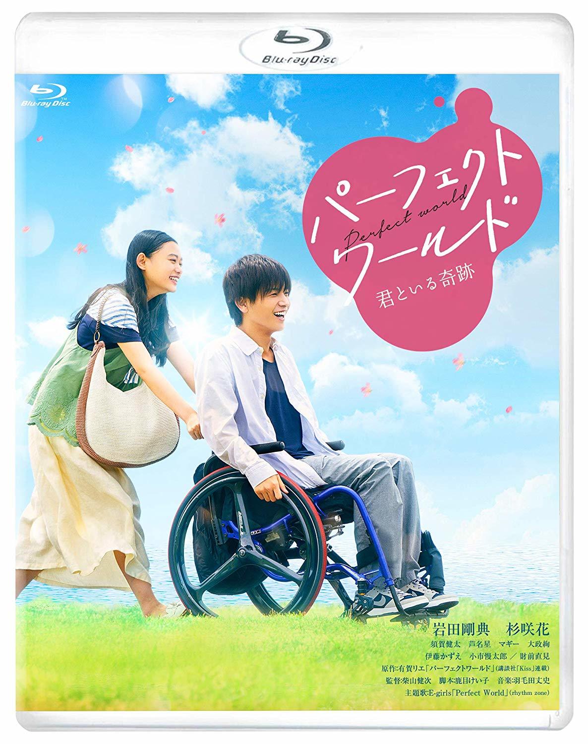 Perfect World Blu-ray (パーフェクトワールド 君といる奇跡