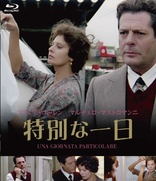 カビリアの夜 [Blu-ray] Amazon.co.jp: カビリアの夜 [Blu-ray] : ジュリエッタ