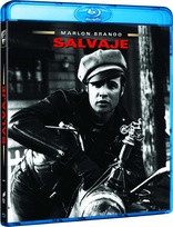 The Wild One (Blu-ray Movie)