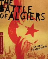 阿尔及尔之战 The Battle of Algiers
