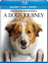 一条狗的使命2/再见亦是狗朋友2(港)/狗狗的旅程(台) A Dog's Journey