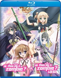 Kore wa Zombie Desu ka? Gets 2nd Anime Season (Update 3) - News