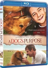 A Dog's Purpose (Blu-ray Movie), temporary cover art